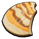 Garden Snail Fragment